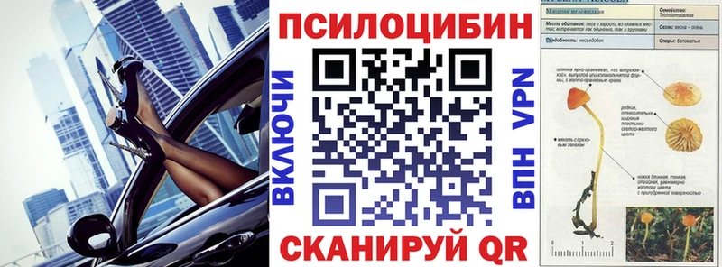 Псилоцибиновые грибы прущие грибы  кракен ССЫЛКА  Верещагино 